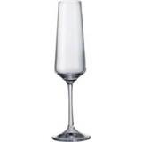 👉 Champagneglas Crystalex Naomi/Corvus champagneglazen 160ml 8593410710840