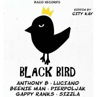 👉 Zwart Black Bird Riddim By City Kay 3760248831855