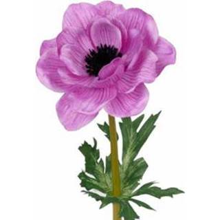 Roze anemoon 47 cm lang