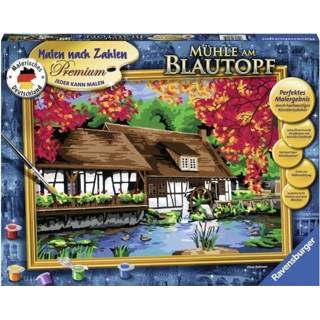 👉 Ravensburger Schilderen op nummer Watermolen de Blautopf 4005556289059