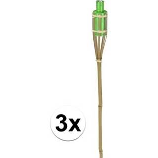 👉 Tuin fakkel bamboe groen 3x tuinfakkel 65 cm