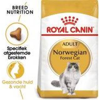 👉 Katten voer 10 kg Royal Canin Noorse Boskat Kattenvoer 3182550825962 3182550825399 3182550825405