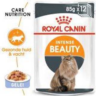 👉 12 x 85 g Royal Canin Kattenvoer - Intense Beauty in Gelei