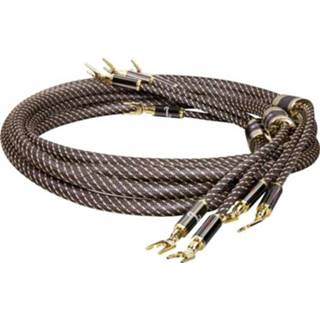 👉 Luidspreker zwart goud Dynavox Audio Aansluitkabel [1x Banaanstekker - 1x Banaanstekker] 3 m Zwart, Vergulde steekcontacten 4250019131547