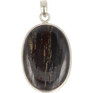 👉 Hanger zilveren active Tijgerijzer (Model 1)