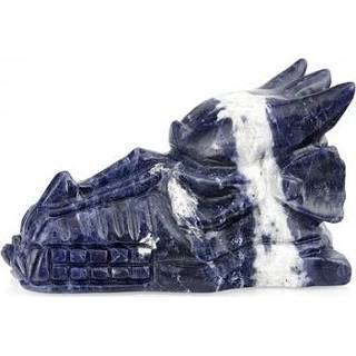 👉 Active Draken Schedel Sodaliet 8718561002198