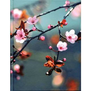 👉 Notitieboek active Cherry Blossom 9783960132639