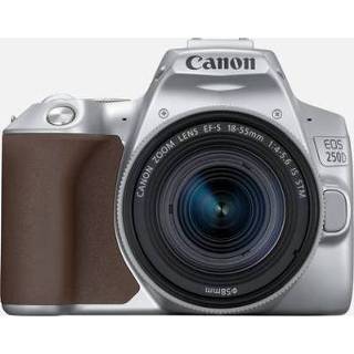 👉 Zilver Canon EOS 250D-body, + EF-S 18-55mm f/4-5.6 IS STM-lens