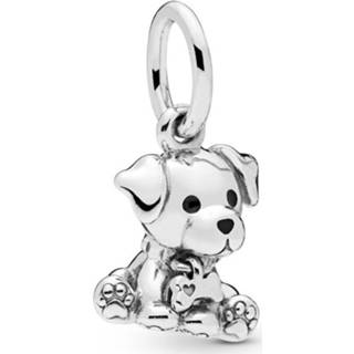 👉 Active Pandora Bedelhanger Labrador Dog