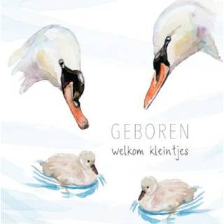 👉 Geboorte tweeling wit Michelle Dujardin | Zwanen