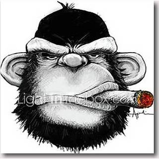 👉 Olieverf medium canvas Handgeschilderde uitgerekt klaar om op te hangen abstracte stijl dieren pop art aap