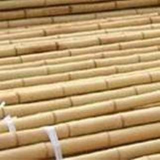 👉 Bamboe stok Bamboestokken 60cm per 1000 8718481398234