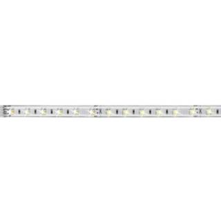 👉 Ledstrip wit Paulmann MaxLED Tunable White 70630 LED-strip uitbreidingsset Met stekker 24 V 100 cm Warm-wit, Neutraal wit, Daglicht-wit 4000870706305