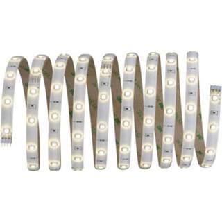 👉 Ledstrip wit Paulmann LED-strip met stekker 12 V 300 cm Warm-wit YourLED 70592 4000870705926