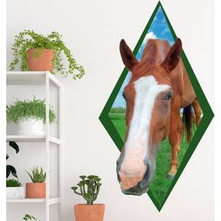 👉 Muursticker nederlands nieuwsgierig paard