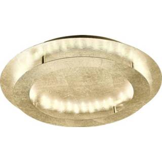 👉 Paul Neuhaus NEVIS 9621-12 LED-plafondlamp Energielabel: LED (A++ - E) 24 W Warm-wit Bladgoud (glanzend)