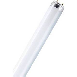 👉 OSRAM TL lamp Energielabel: A (A++ - E) G13 16 W Koud-wit Buis (Ã x l) 26 mm x 720 mm 1 stuks