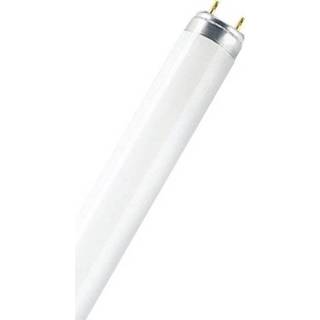 👉 OSRAM TL lamp Energielabel: A (A++ - E) G13 18 W Warm-wit Buis (Ã x l) 26 mm x 590 mm 1 stuks