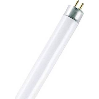 👉 OSRAM TL lamp Energielabel: A (A++ - E) G5 8 W Koud-wit Buis (Ã x l) 16 mm x 288 mm 1 stuks