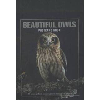 👉 Postkaart Beautiful Owls Postcard Book 9781908005922