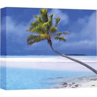 👉 Wit canvas One Size GeenKleur Palm tree on white beach 5060652120353