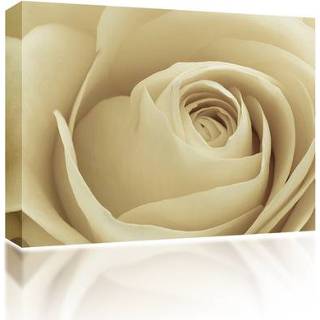 👉 One Size GeenKleur Fashion 5060652120247