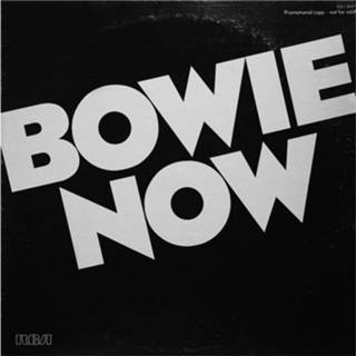 👉 David Bowie - Now LP Beperkte Oplage 190295739645