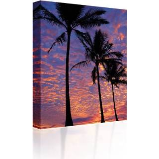👉 Canvas One Size GeenKleur Palm trees at sunset 5060652120421