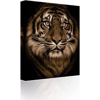 👉 Canvas One Size GeenKleur Tiger's face 5060652120407