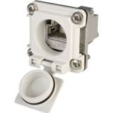 👉 Koppeling grijs STX V6 RJ45-flensset variant 6 Koppeling, inbouw Aantal polen: 8P8C J00020A0483 Lichtgrijs Telegärtner 1 stuks 4018359323981