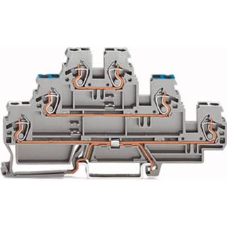 👉 WAGO 870-567 Aardklem 3-etages 5 mm Veerklem Toewijzing: Terre, N, L Grijs 50 stuks