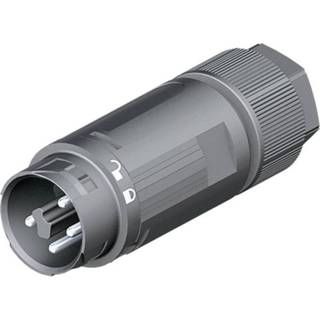 👉 F connector Wieland 46.052.4550.4 Ronde stekker Stekker, recht Serie (ronde connectors): RST® MINI Totaal aantal polen: 5 1 stuks 4049088269233