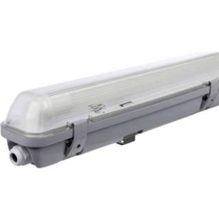 MΓΌller ledarmatuur Aqua Promo 18W MΓΌller Licht Aqua-Promo Kuiplamp voor vochtige ruimte LED G13 Energielabel: A+ (A++ - E) 18 W Grijs