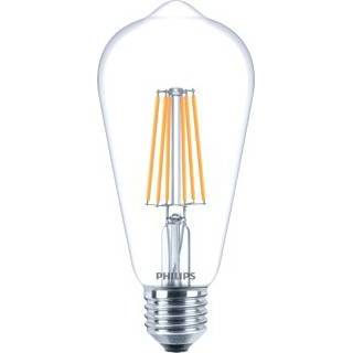 👉 Ledlamp wit Philips Dimtone, wit, lengte 140mm, diameter 64mm 8718696709764