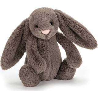 👉 Jellycat Bashful Rabbit Aqua 31 cm BAS3AQ