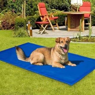 👉 Blauw active Koeling mat voor huisdieren 60x80cm 8719202992601