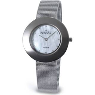 👉 Horlogeband titanium staal onbekend Skagen 569STW 8719217179295