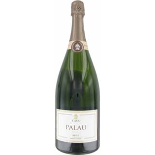 👉 Mousserende wijn spanje cataloni mousserend kurk macabeu penedes verfrissend Cava Palau Brut Magnum, Catalonië, Spanje,