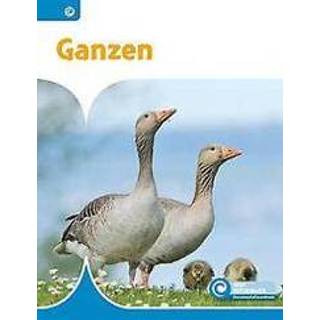 👉 Ridder Ganzen. Ridder, Bouwina de, Hardcover 9789463418393