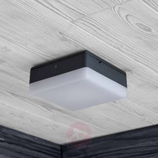 👉 Plafond lamp warmwit wit a+ grijs polycarbonaat LED plafondlamp Thilo, grijs, 16 cm, HF sensor