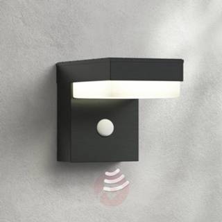 👉 Buiten wandlamp roestvrij staal donkergrijs a+ warmwit LED buitenwandlamp Chioma met sensor