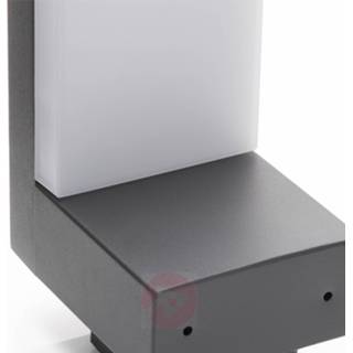 👉 Buitenwandlamp warmwit donkergrijs a+ grijs roestvrij staal LED Dionys in