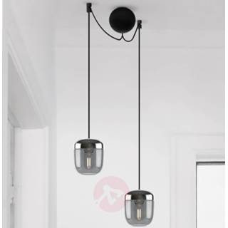 👉 Hang lamp staal glas umage a++ rookgrijs Jacob Rudbeck Acorn hanglamp 2 lampje