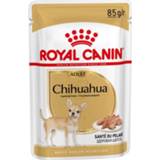 👉 Honden voer Royal Canin Chihuahua Adult Pouch - Hondenvoer 12x85 gram 9003579001509