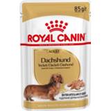 👉 Honden voer Royal Canin Dachshund Adult Pouch - Hondenvoer 12x85 gram 9003579001578