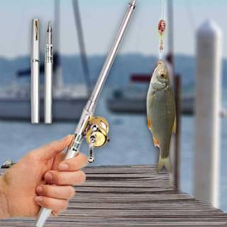 👉 Pen Fishing Rod