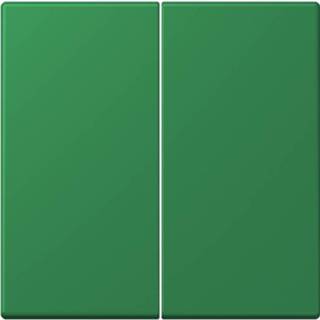 👉 Serie schakelaar groen Jung LS990 Wip/ serieschakelaar LC995 32050 4011377133877