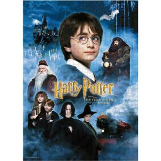 👉 Poster Harry Potter Jigsaw Puzzle and the Sorcerer's Stone Movie 8435450232411