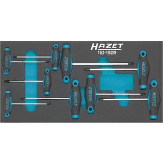 👉 Schroevendraaierset Hazet met T-greep 163-182/9 gereedschapsset 4000896162352