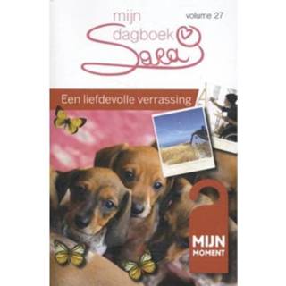 👉 Dagboek Een Liefdevolle Verrassing Sara Mijn - Ria Maes 9789492328281